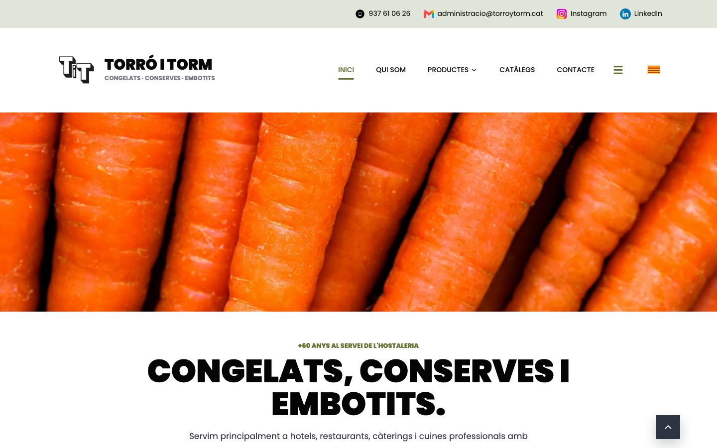 Captura de la pàgina web de Torró & Torm